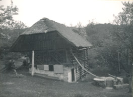 eika image